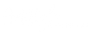 Amistyle Webdesign és WordPress